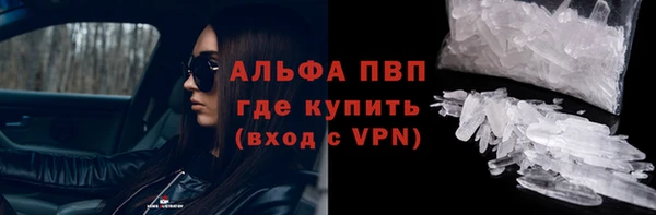 гидра Алексин