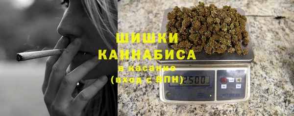 гидра Алексин