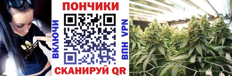 Бошки Шишки гибрид  Заволжск 